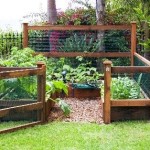 Fenced in Garden Tiny House